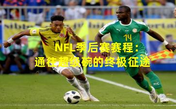 NFL季后赛赛程：通往超级碗的终极征途