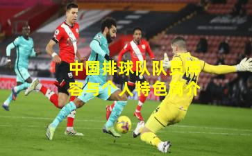 中国排球队队员阵容与个人特色简介