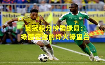 英冠积分榜雪缘园：绿茵征途的烽火瞭望台